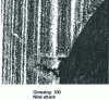 Figure 6 - Z85 WDCV band structure 06-05-04-02