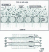 Figure 31 - Principle of filtration of rolling mill oils on filter earths (Crédit Alcan)