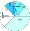Figure 11 - Deformation diagram