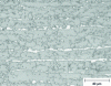 Figure 7 - Strip structure on DP steel (martensite in white)