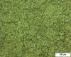 Figure 9 - Typical MdP-CIC microstructure of a martensitic steel showing a network of old particle boundaries (© CEA)