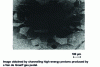 Figure 31 - Grain boundaries in polycrystalline nickel sheet (from [5])