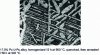 Figure 34 - Precipitates with defined crystallographic orientations (Widmanstätten structure) (from [6])