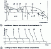 Figure 39 - Solidification transformations