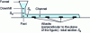 Figure 3 - Distributor channel system