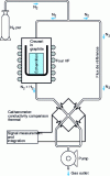 Figure 3 - Schematic diagram of fusion dosing and thermal conductivity measurement (O, N)