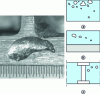 Figure 21 - Soufflures