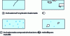 Figure 23 - Inclusions