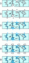 Figure 29 - Impregnation process flow chart (Maldaner document)