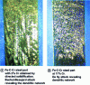 Figure 19 - Micrographs of Fe-C-Cr steel parts (ENSAM Cluny plates)