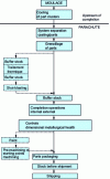 Figure 17 - Fettling operation flow chart