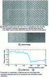 Figure 12 - Measurement of rigid translation using the phase method (Credit Ultramicroscopy)