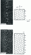 Figure 1 - The two possible structures A and B simulated and observed by high-resolution transmission electron microscopy of Σ = 11 {332} joints in silicon and germanium[3].