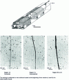 Figure 13 - Optical microscopy observation of etching results of a Σ = 11 {311} grain boundary in nickel [35].