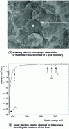 Figure 14 - Example of a brittle fracture surface in X45 steel [39].