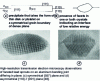 Figure 21 - Different shapes of sprouts appearing at grain boundaries [49].