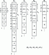 Figure 7 - Schematic representation of the structural unit model for a series of symmetrical flexural grain boundaries viewed along the flexural axis. Units A and B of the joints delimiting 1 and 5 are arranged in different configurations in the intermediate disorientation joints.