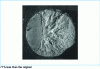 Figure 15 - Brittle fracture of a shaft ∅ 40 mm, medium-hard treated steel. Final fan-shaped brittle fracture initiated inside a fatigue crack. Elastomer molding