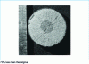 Figure 16 - Brittle fracture of a ∅ 35 mm shaft in rapidly reheated hard steel, axial cymbal tapering, radiating final fracture