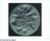 Figure 17 - Abrupt fracture of a ∅ 100 mm mill roll after deep induction hardening at the defile.