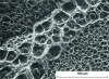 Figure 2 - Cup-shaped facies containing coarse and fine carbides. Fracture of a 98 t rotor in hardened and tempered 35NiCrMo15 steel, SEM