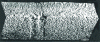 Figure 22 - Semi-fragile tear in a mild steel tube: surface initiation (middle of image) propagating in chevrons through the thickness of the tube wall (10 mm)