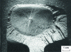 Figure 30 - Fatigue fracture (oval spot) on a hard steel rail head. Abrupt final radiating fracture