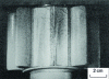 Figure 38 - Fatigue fracture of gear teeth, ∅ 100 mm primitive in uniaxial bending, on off-axis shaft ends. Tooth roots on machining lines