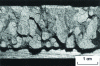 Figure 46 - Induced mid-thickness fracture of 50 mm mild-alloy steel sheet showing pre-existing flakes (light round spots)