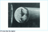 Figure 49 - Chain link ∅ 35 mm case-hardened and tempered, sharp break initiated on the rough-rolled surface