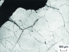 Figure 58 - Intergranular cracks  and new grains  after forging at 1,100°C. Crack in forged hoop X35Mn18