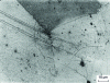 Figure 64 - Impact deformation of a mild steel sheet at 20°C. Slip lines initiated by macles in a grain boundary 