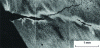 Figure 68 - Radial hardening tap initiated on an oxidized inclined fold (blurred white stripes after oxidative etching [14]. Round ∅ 90 mm in 35CrMo4 steel