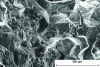 Figure 7 - Mixed cup and conchoid facies: ductile zone and brittle intergranular zone. Medium-hard alloyed steel fractured at 20°C, SEM