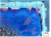 Figure 72 - Air oxidation of a semi-hard steel bar, 1,100°C 1 h. Fe2 O3, then Fe3 O4 and Fe O on the decarburized zone.