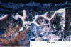 Figure 74 - Intergranular grain oxidation , 5 mm flat, 60CrMo4 steel, around 1,000°C. Clear, blurred patches of oxidized metal. Clear white patches of ferrite.