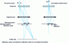 Figure 1 - Parallel illumination conditions (with two incident plane waves at different angles to the optical axis) and convergent illumination with a conical incident beam