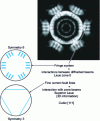 Figure 12 - Ternary symmetry of a cubic crystal seen from the [111] direction