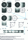 Figure 15 - Microdiffraction investigation of the crystal along the <100> axes and difference between the symmetries of the whole plates for mmm and m2m