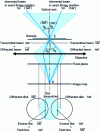 Figure 17 - Beam paths transmitted and diffracted by a family of reticular planes (source: Morniroli [20])