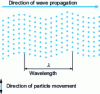 Figure 19 - Transverse ultrasonic waves