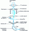 Figure 2 - Schematic diagram of a scanning transmission electron microscope (STEM)