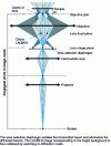 Figure 26 - Electron path in LACBED image mode