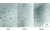 Figure 28 - Dissolution of (CrFe)C precipitates in an ordered Fe3Al iron aluminide-based alloy during in situ heating at 900°C in the JEOL EX 1,200 microscope, according to. [26]