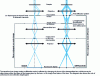 Figure 8 - Electron paths in image modes (bright field in "two-wave" condition) and selected-area diffraction in the case of a parallel incident beam