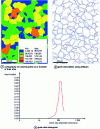 Figure 15 - Grain size maps and histograms