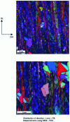 Figure 10 - Examples of orientation maps obtained on partially recrystallized Invar sheets