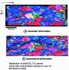 Figure 17 - Comparison of simulated and experimental deformation microstructures