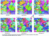 Figure 22 - Evolution of the deformed microstructure (central layer of the aggregate) during dynamic recrystallization simulation