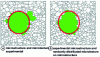 Figure 23 - Simulation of Goss grain growth using experimental data acquired by EBSD